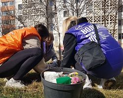 Волонтёры колледжа приняли участие в озеленении аллеи по улице В. Барсовой